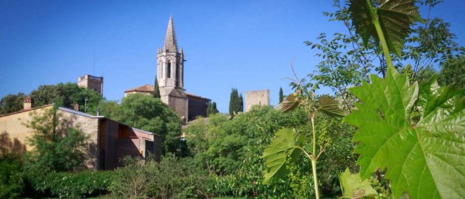 Visita Sant Martí Vell